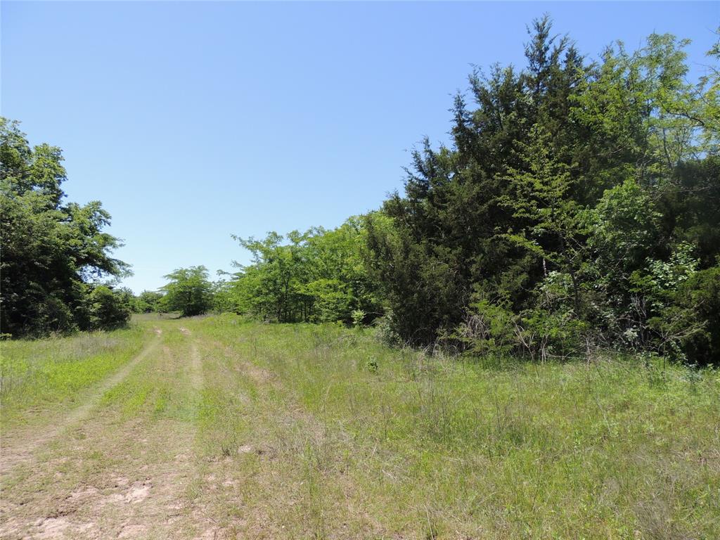 9324 Fm 898 Property Photo 6
