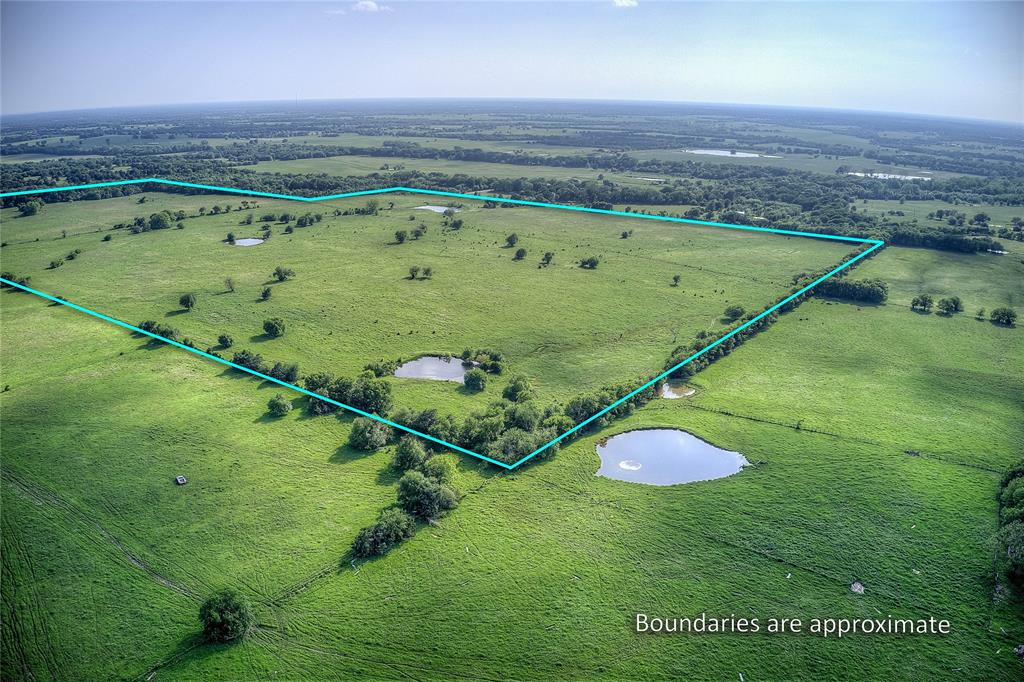 Tbd Fm 1568 Fm 1568 Property Photo 4