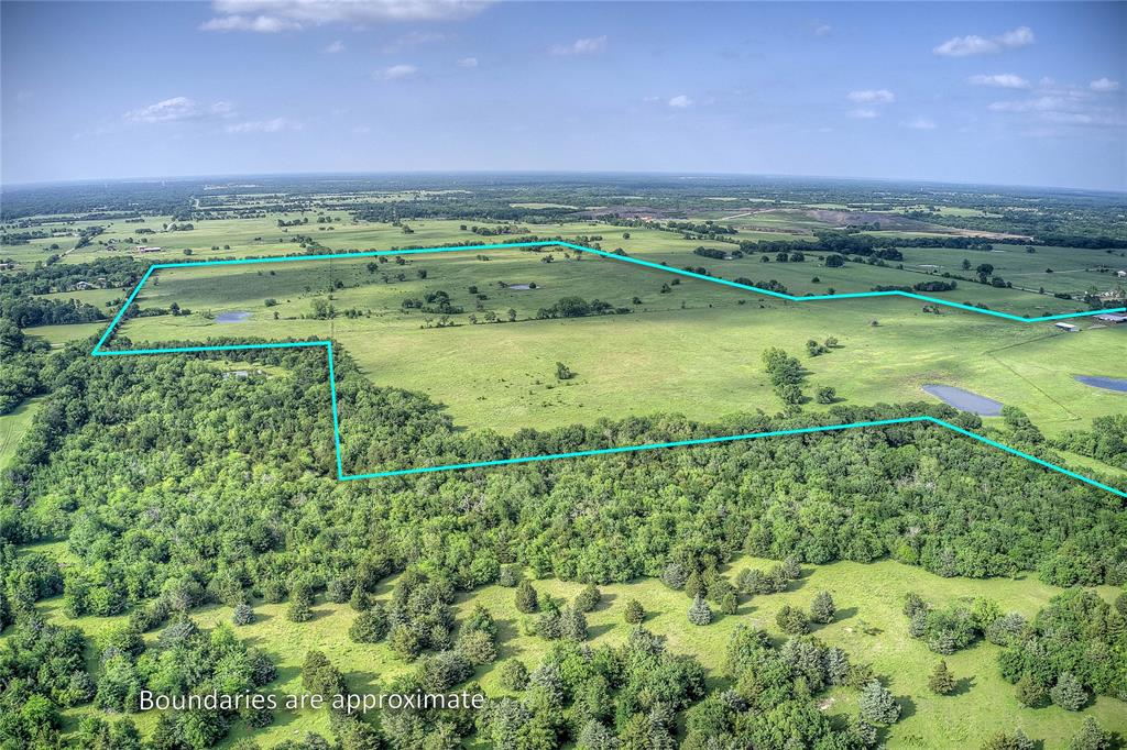 Tbd Fm 1568 Fm 1568 Property Photo 5