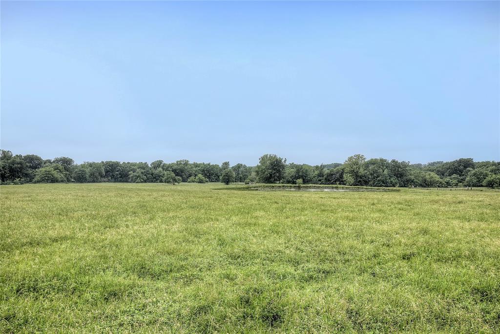 Tbd Fm 1568 Fm 1568 Property Photo 11