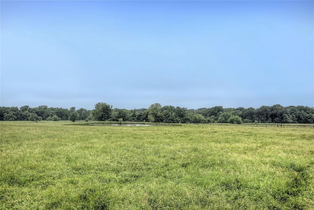 Tbd Fm 1568 Fm 1568 Property Photo 12