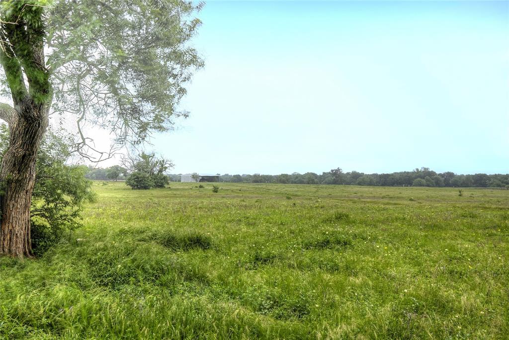 Tbd Fm 1568 Fm 1568 Property Photo 16