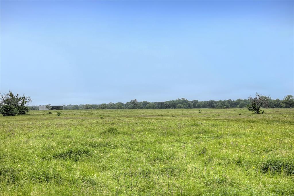 Tbd Fm 1568 Fm 1568 Property Photo 17