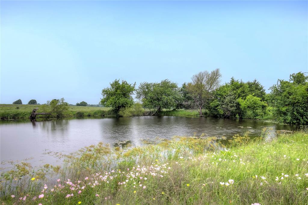 Tbd Fm 1568 Fm 1568 Property Photo 18
