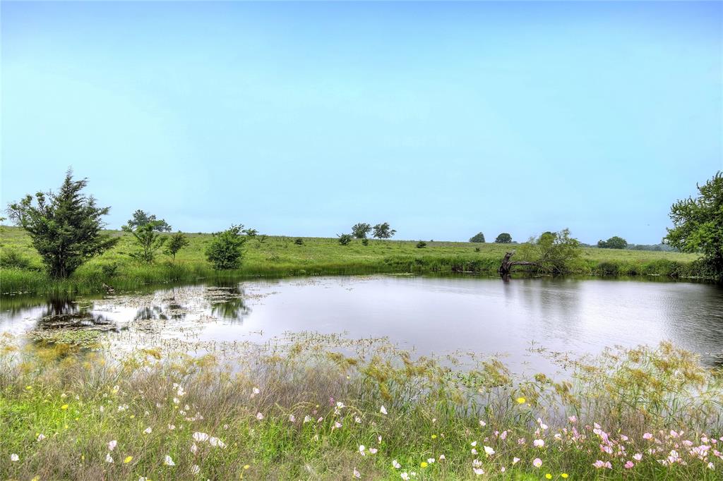 Tbd Fm 1568 Fm 1568 Property Photo 19