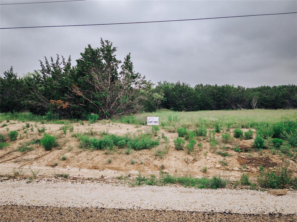 1165 County Road 407a Property Photo 5
