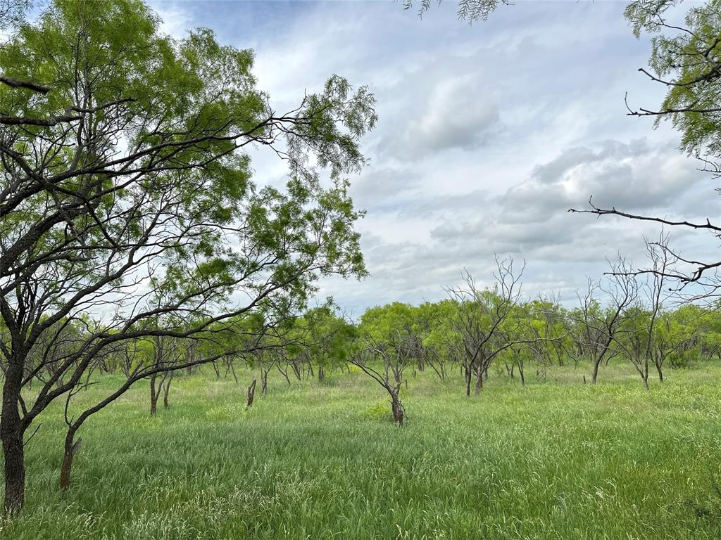 Tbd County Rd 100 Property Photo 1