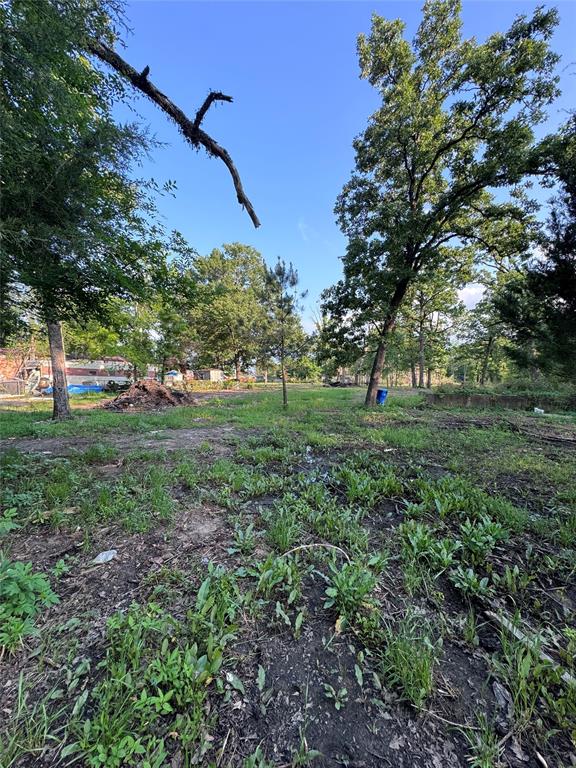 103 Brewster Avenue Property Photo 4