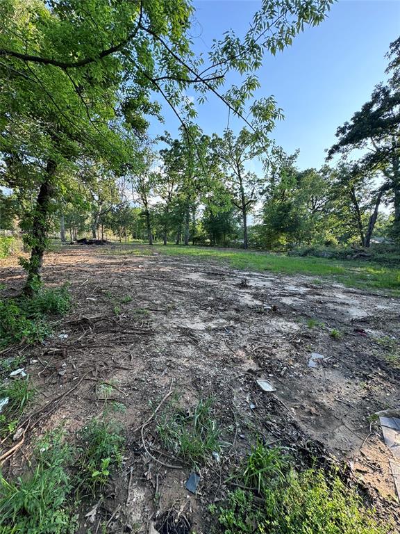 103 Brewster Avenue Property Photo 5