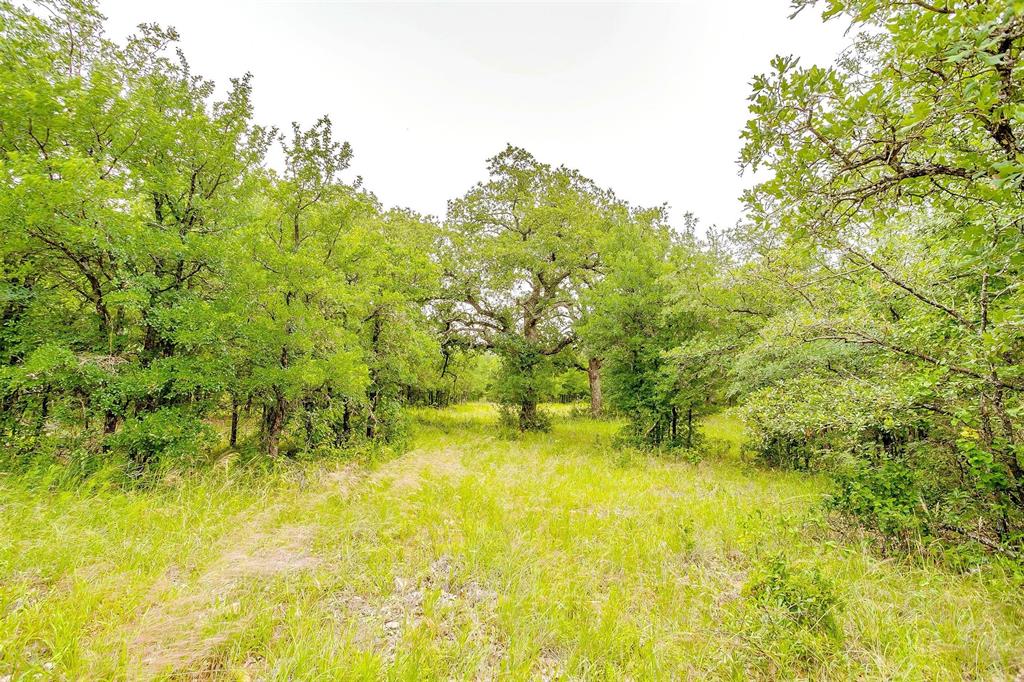 Tbd 0000 County Road 2446 Property Photo 4