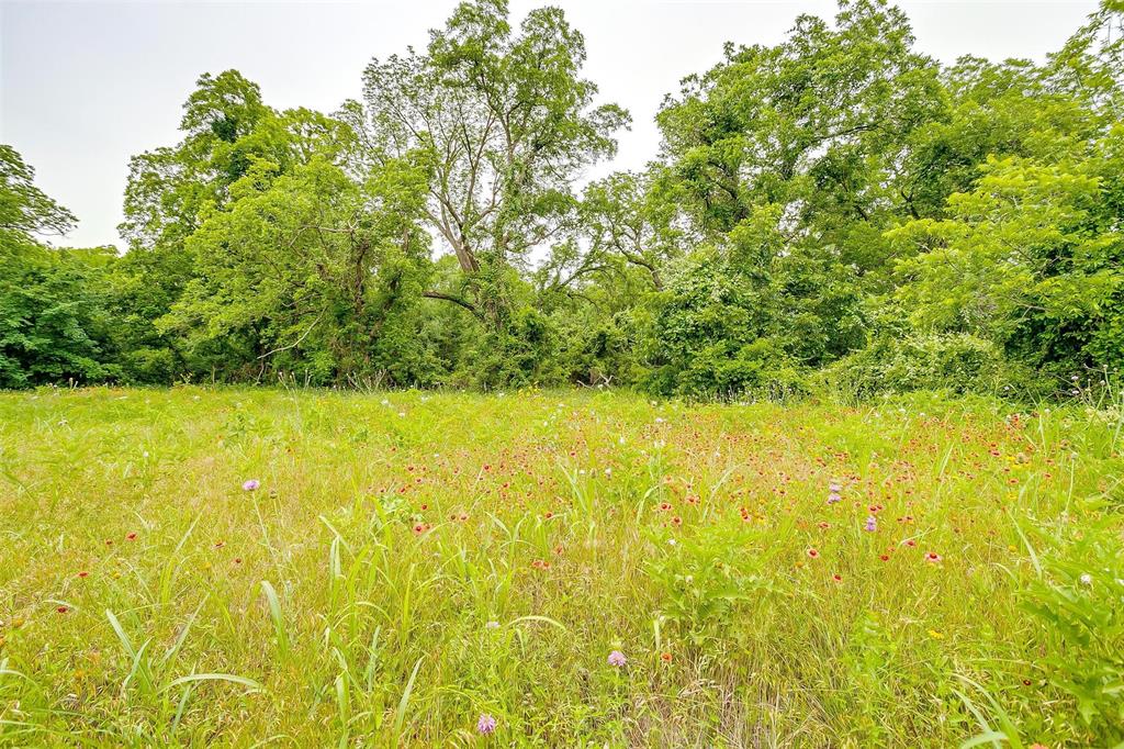 Tbd 0000 County Road 2446 Property Photo 5