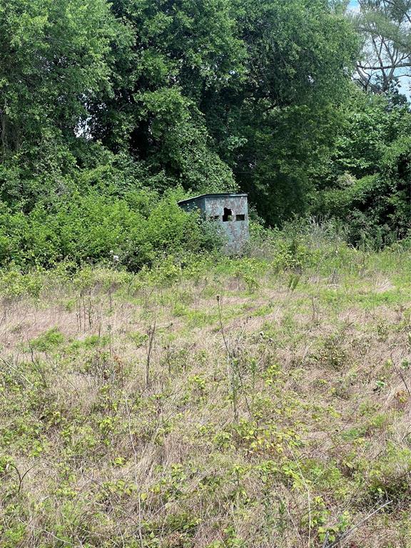 Tbd 0000 County Road 2446 Property Photo 6