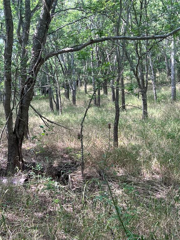 Tbd 0000 County Road 2446 Property Photo 10