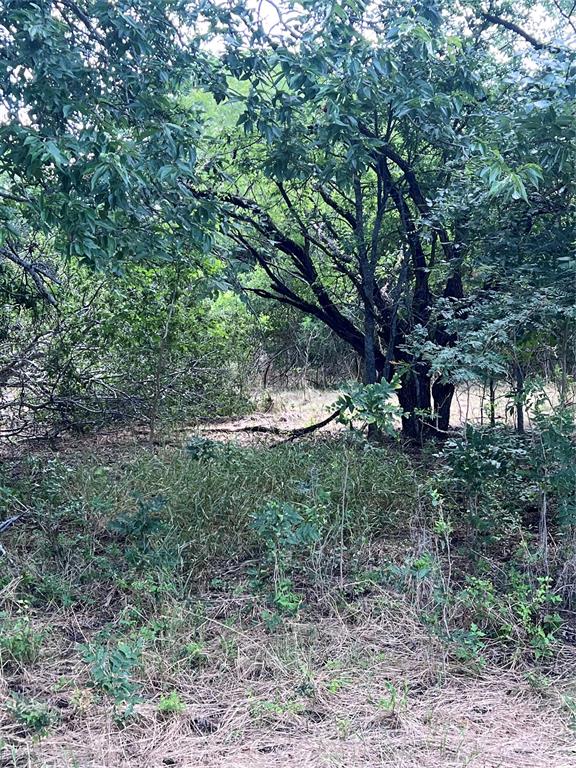 Tbd 0000 County Road 2446 Property Photo 11