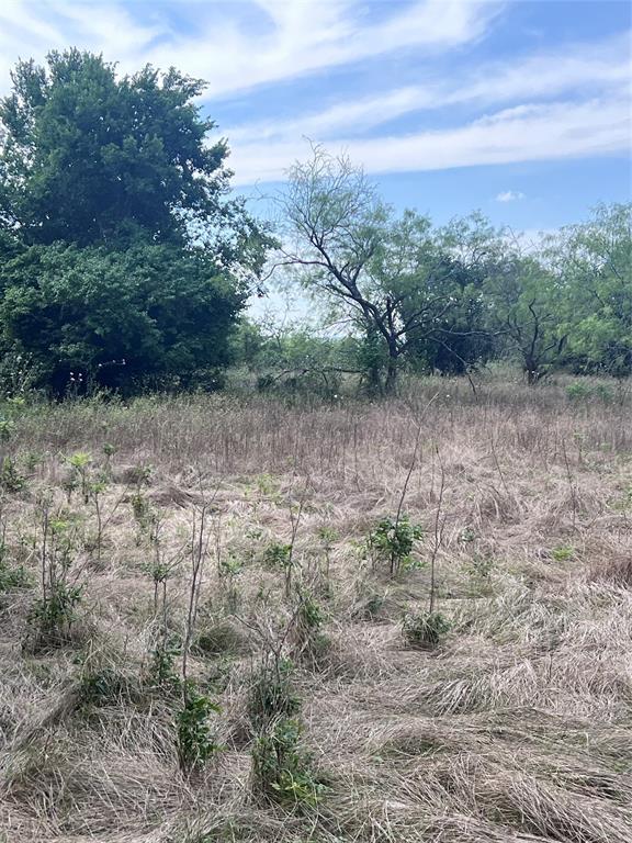 Tbd 0000 County Road 2446 Property Photo 12