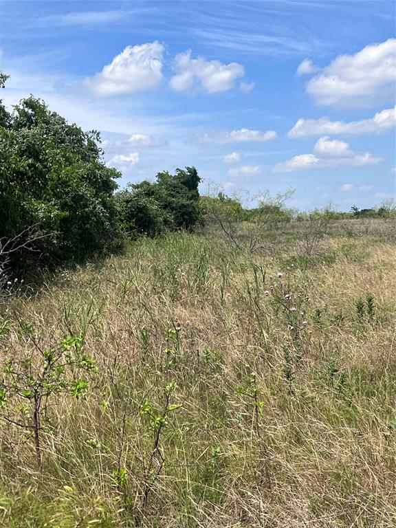 Tbd 0000 County Road 2446 Property Photo 13