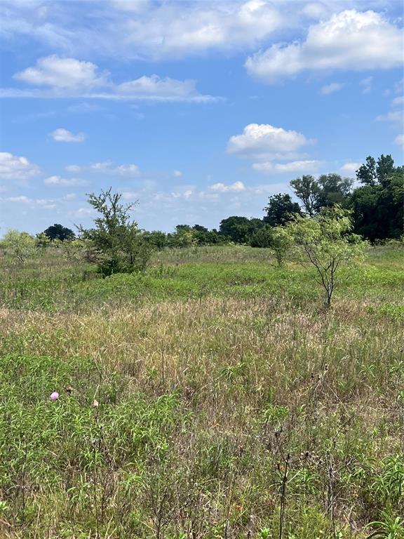 Tbd 0000 County Road 2446 Property Photo 14