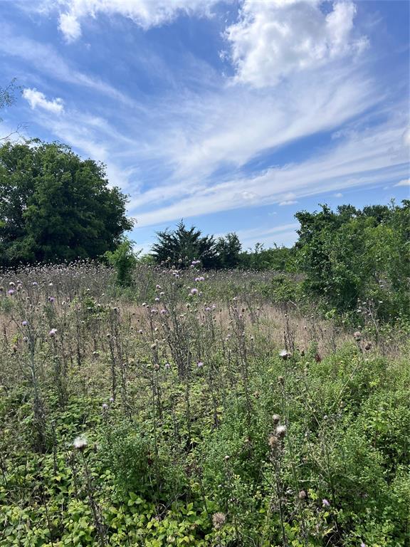 Tbd 0000 County Road 2446 Property Photo 16