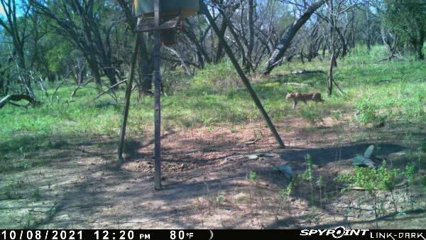 000000 Cr 267 Property Photo 26