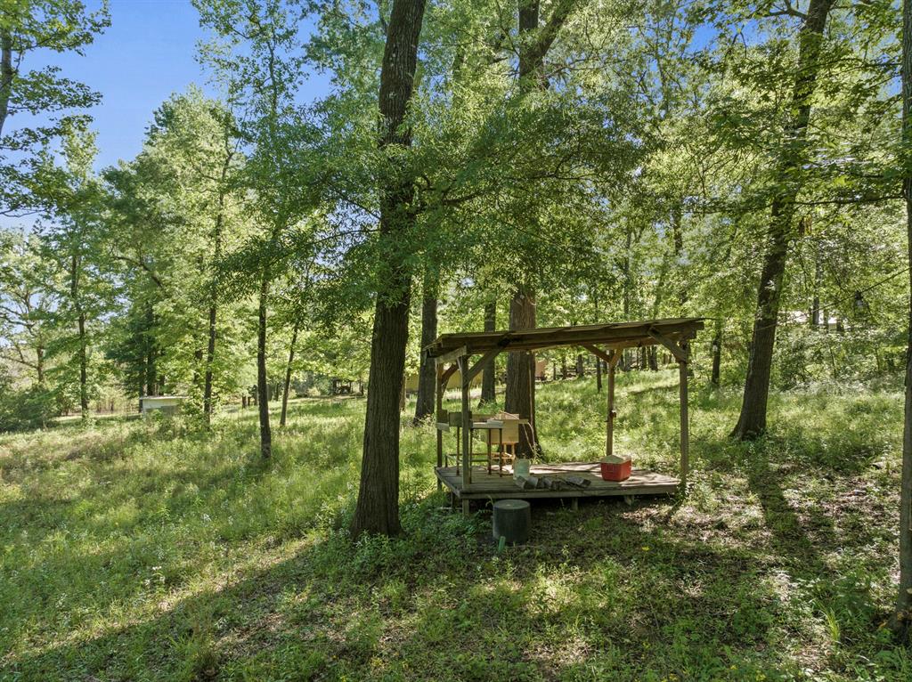 307 Fish Trap Ln Property Photo 13