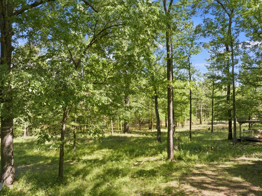 307 Fish Trap Ln Property Photo 14