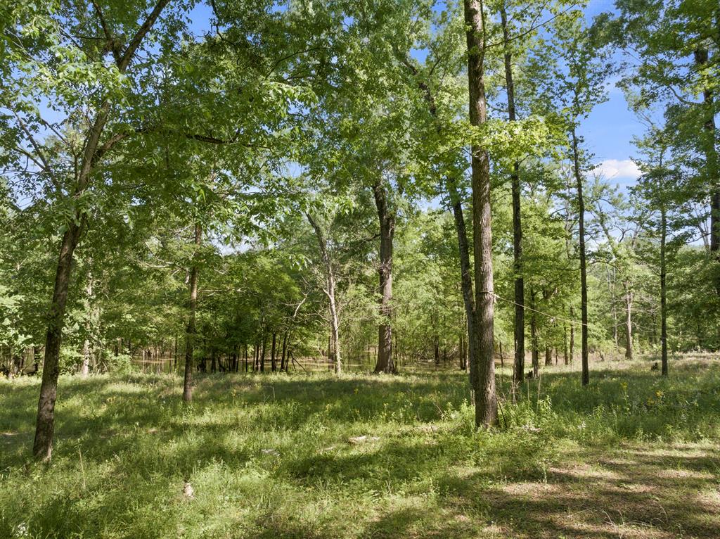 307 Fish Trap Ln Property Photo 15