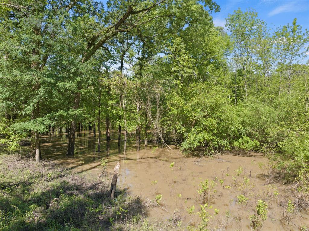 307 Fish Trap Ln Property Photo 16