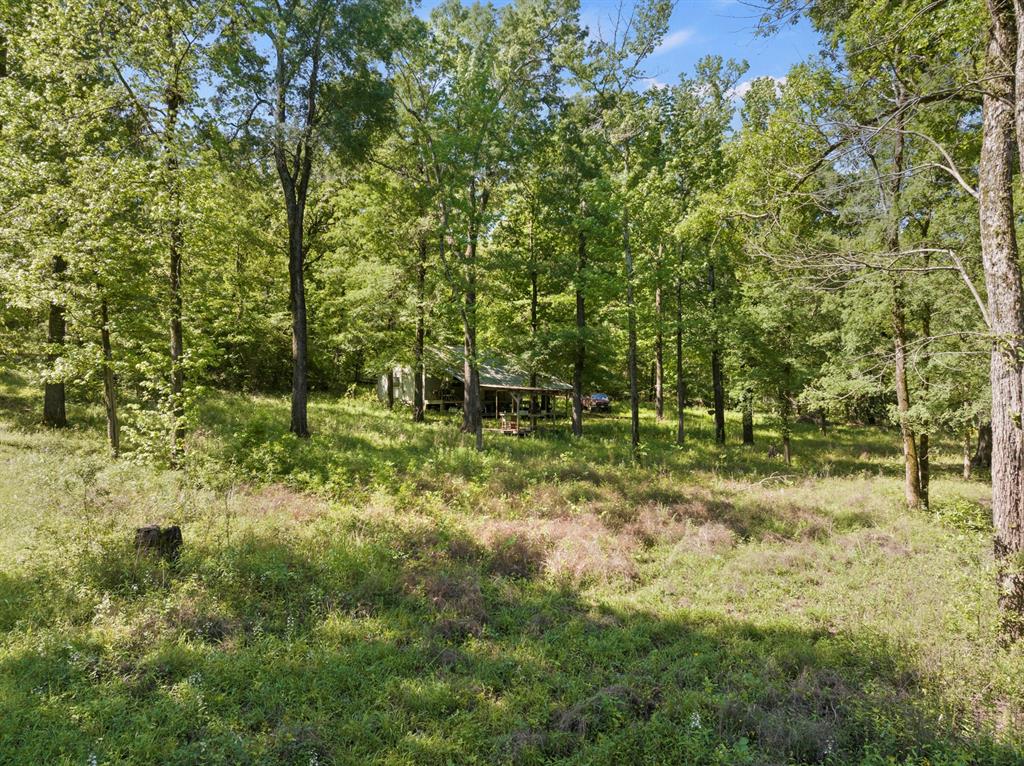 307 Fish Trap Ln Property Photo 17