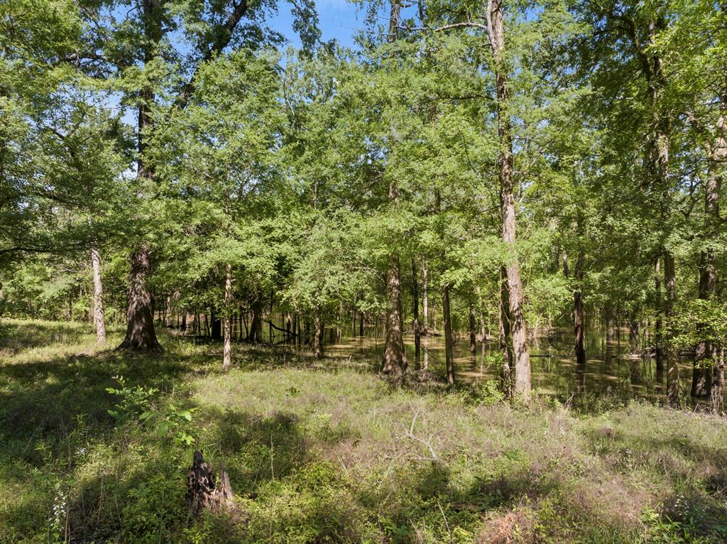 307 Fish Trap Ln Property Photo 18