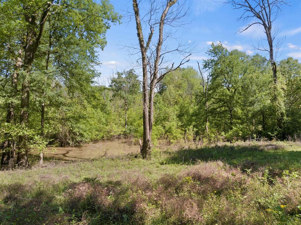 307 Fish Trap Ln Property Photo 19