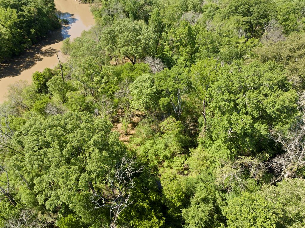 307 Fish Trap Ln Property Photo 27