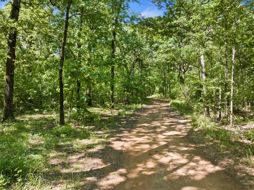 307 Fish Trap Ln Property Photo 37