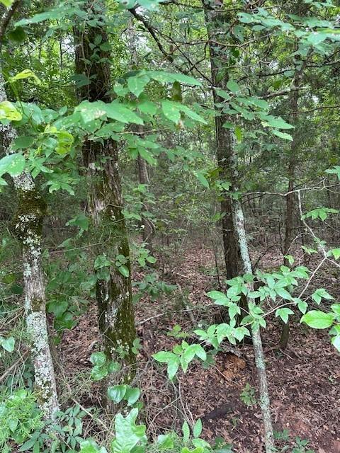 000 Cr 1828 Property Photo 3