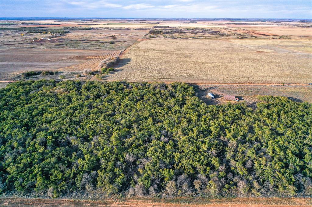 Tbd Cr 129 Property Photo 2
