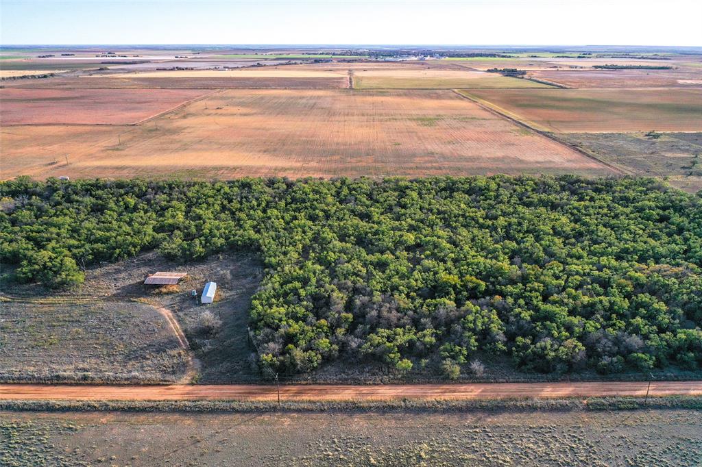 Tbd Cr 129 Property Photo 3