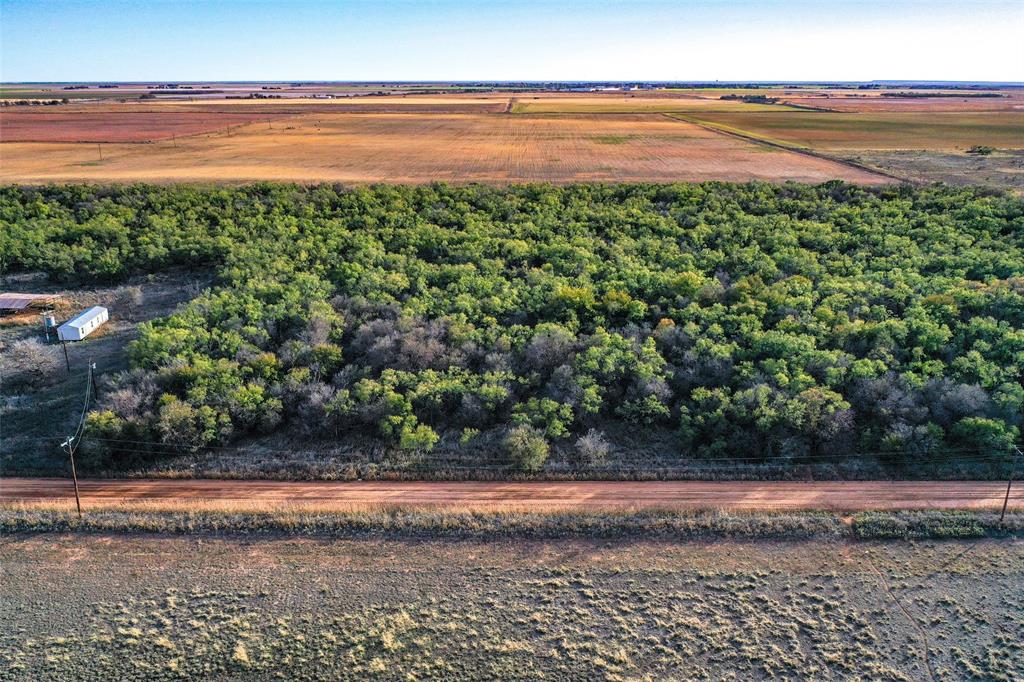 Tbd Cr 129 Property Photo 4