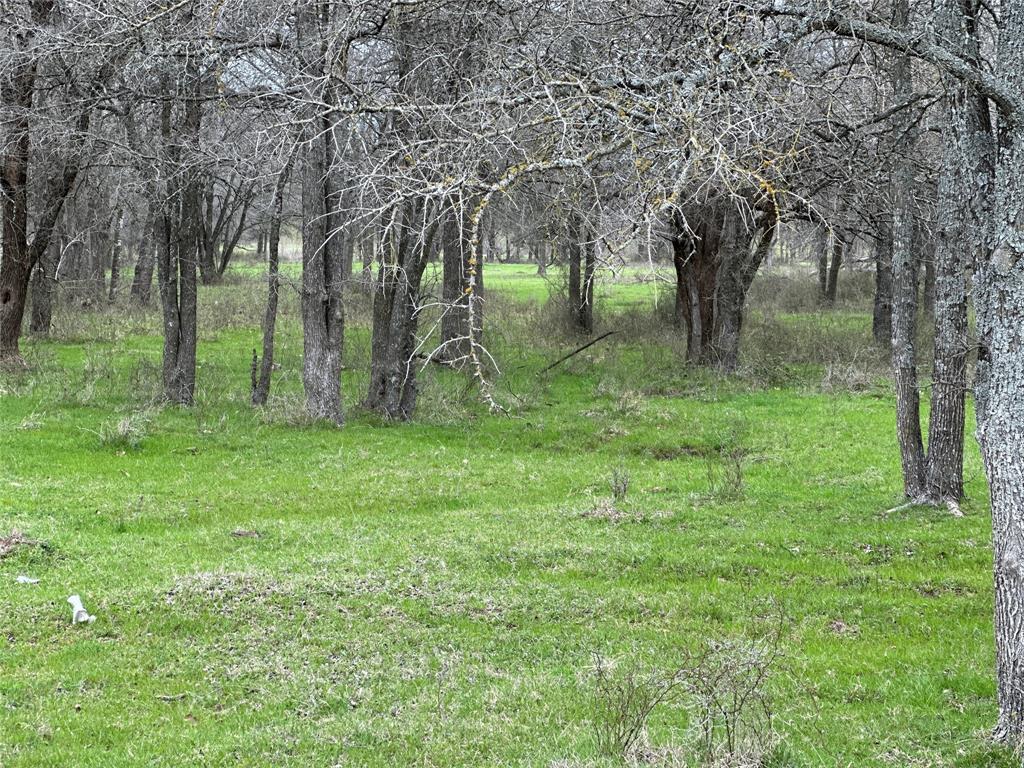 Lot14 Blk1 Tbd Sh 171 Property Photo 1