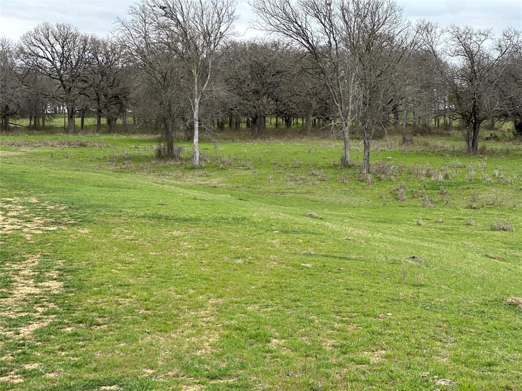 Lot2 Blk2 Tbd Sh 171 Property Photo