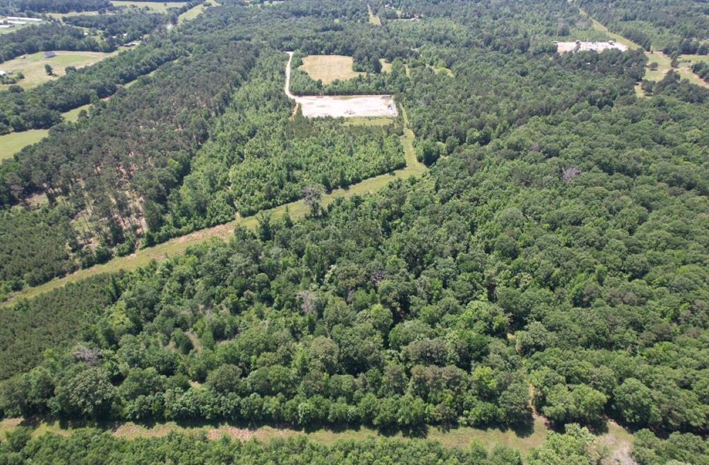 Tbd County Road 432 Property Photo