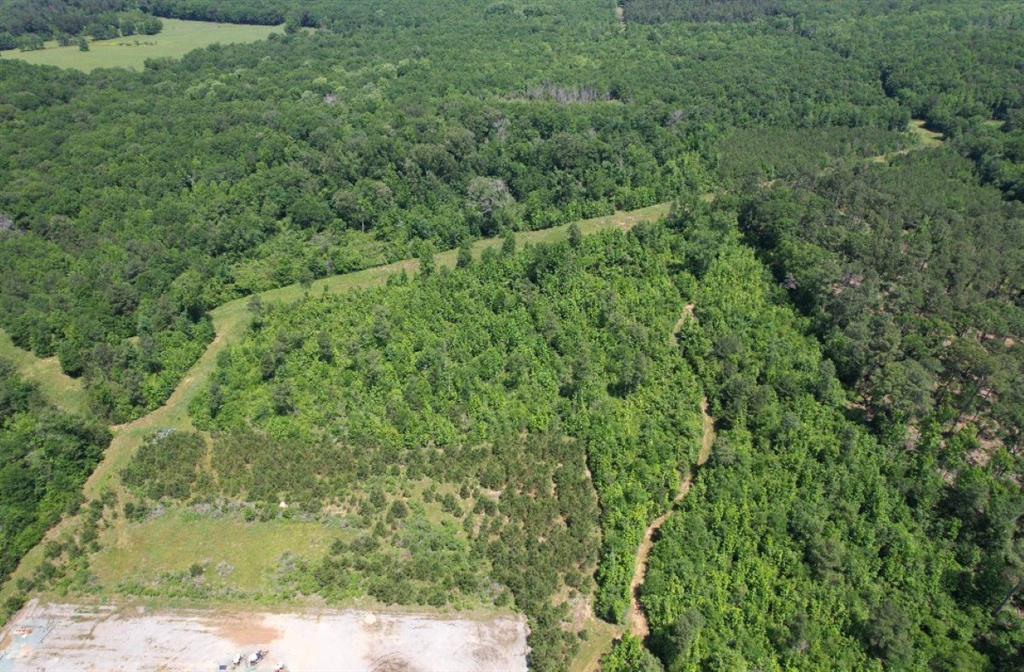 Tbd County Road 432 Property Photo 4