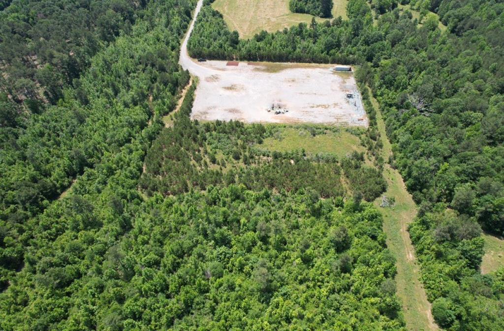 Tbd County Road 432 Property Photo 6