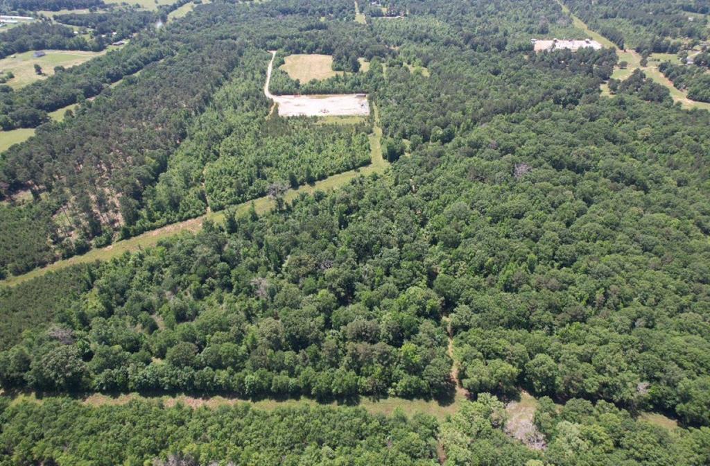 Tbd County Road 432 Property Photo 8