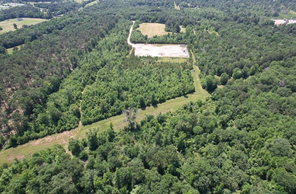 Tbd County Road 432 Property Photo 9