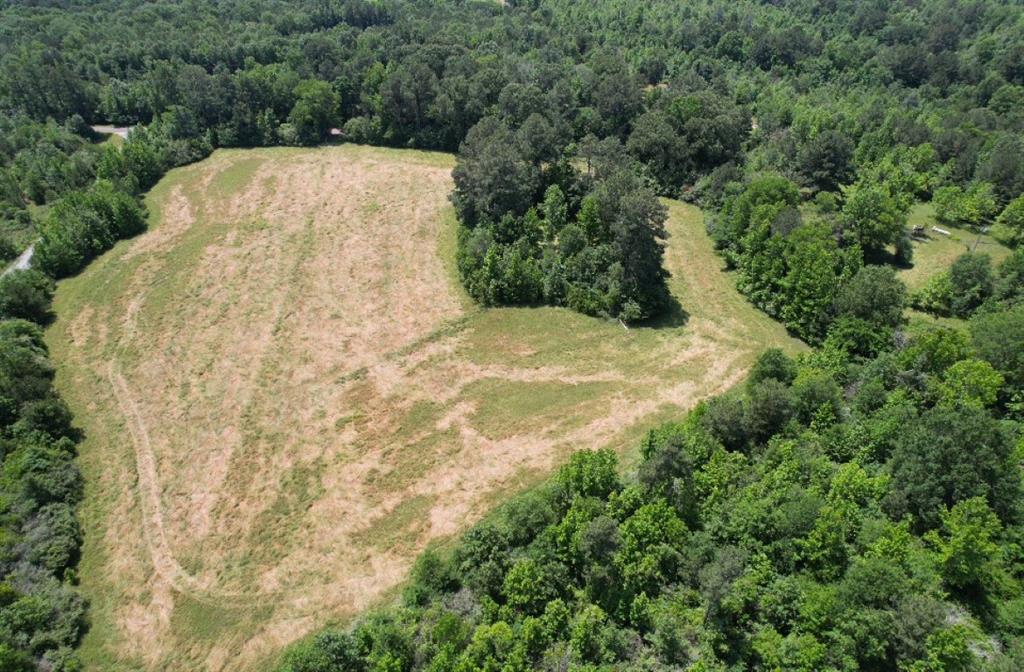 Tbd County Road 432 Property Photo 14