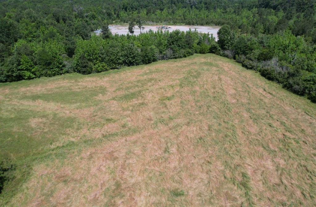 Tbd County Road 432 Property Photo 15