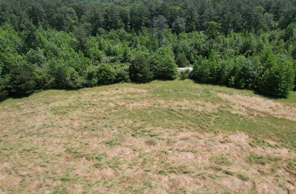 Tbd County Road 432 Property Photo 16