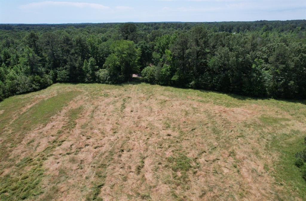 Tbd County Road 432 Property Photo 17