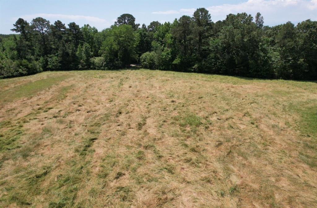 Tbd County Road 432 Property Photo 19