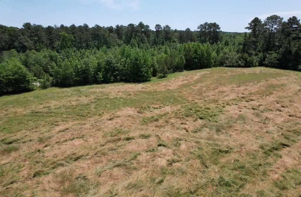 Tbd County Road 432 Property Photo 20