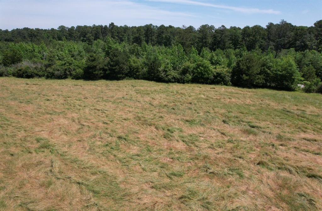 Tbd County Road 432 Property Photo 21